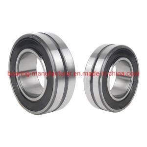 Sealed Spherical Roller Bearing BS2-2219-2RS/Vt143 with Low Operating Costs