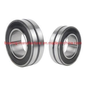 China Long Service Life BS2-2213-2RS/Vt143 Sealed Spherical Roller Bearings