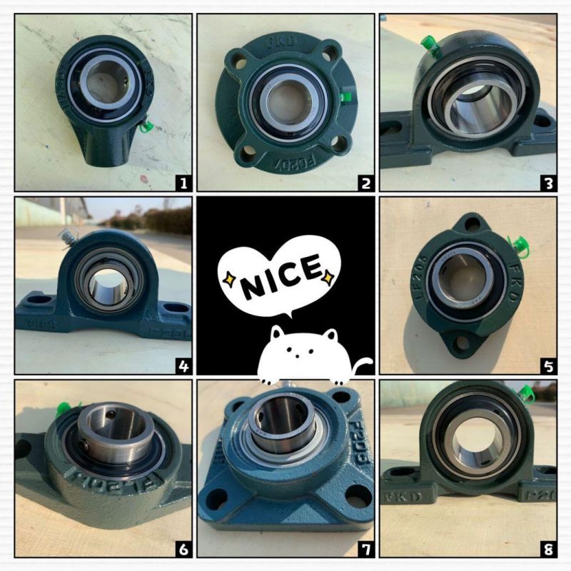 Pillow Block Bearing/Inch and Metric Bearing