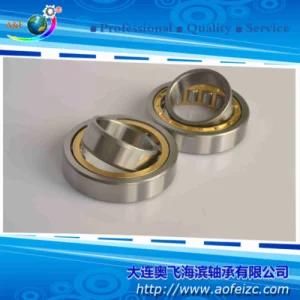 A&F Brand Cylindrical Roller Bearing (NU202M)