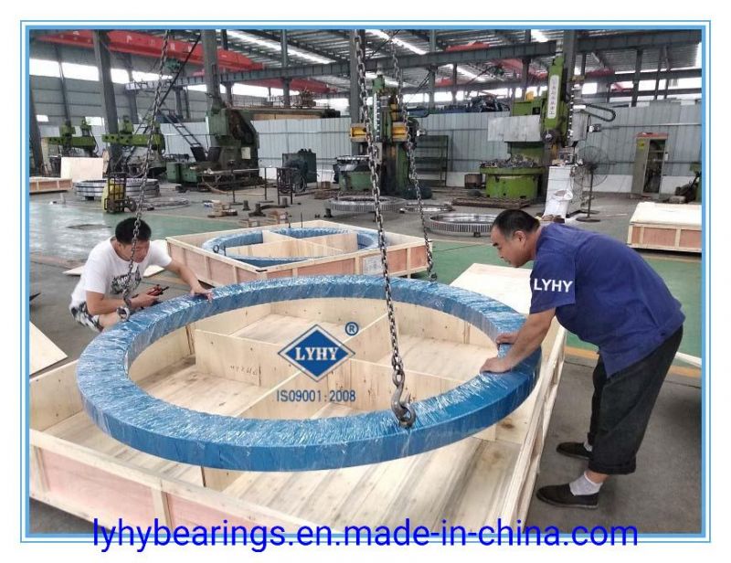 Roller Bearing Slewing Ring Bearings Gear Bearing Turntable Bearing (HJW. 45.1540)