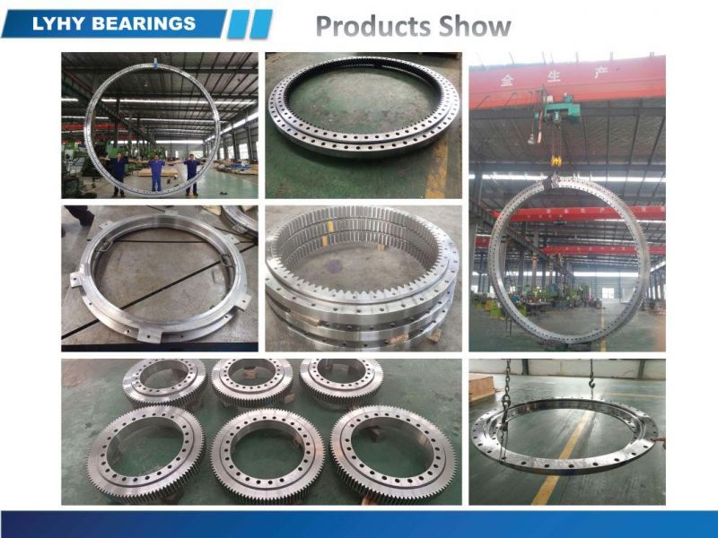 Kd210 Bearing Series Flanged Slewing Bearing 232.21.0475.013 Swing Bearing with Internal Gear