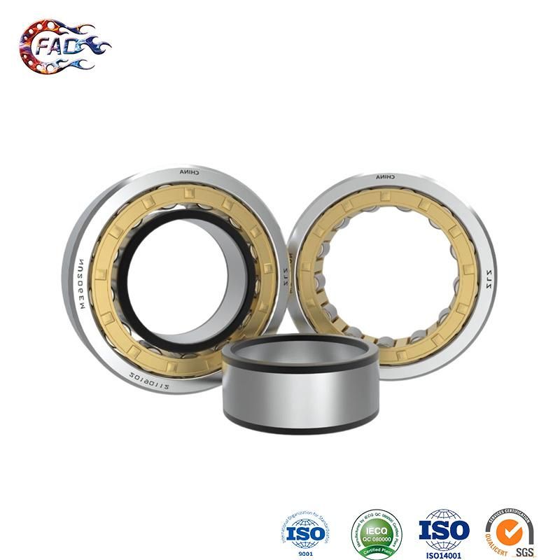 Xinhuo Bearing China 6204RS Bearing OEM Lm20uu Linear Bearing Nj224e Nu Type Cylindrical Roller Bearing