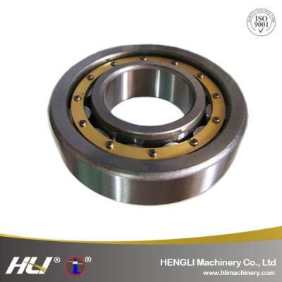High Radial Loads Sealed Cylindrical Roller Bearing for Traction Motors