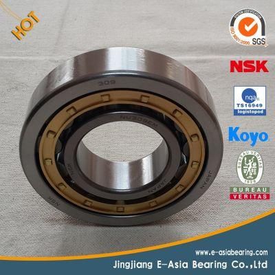 Cylindrical Roller Bearings Nj Nu 210 211 212 213