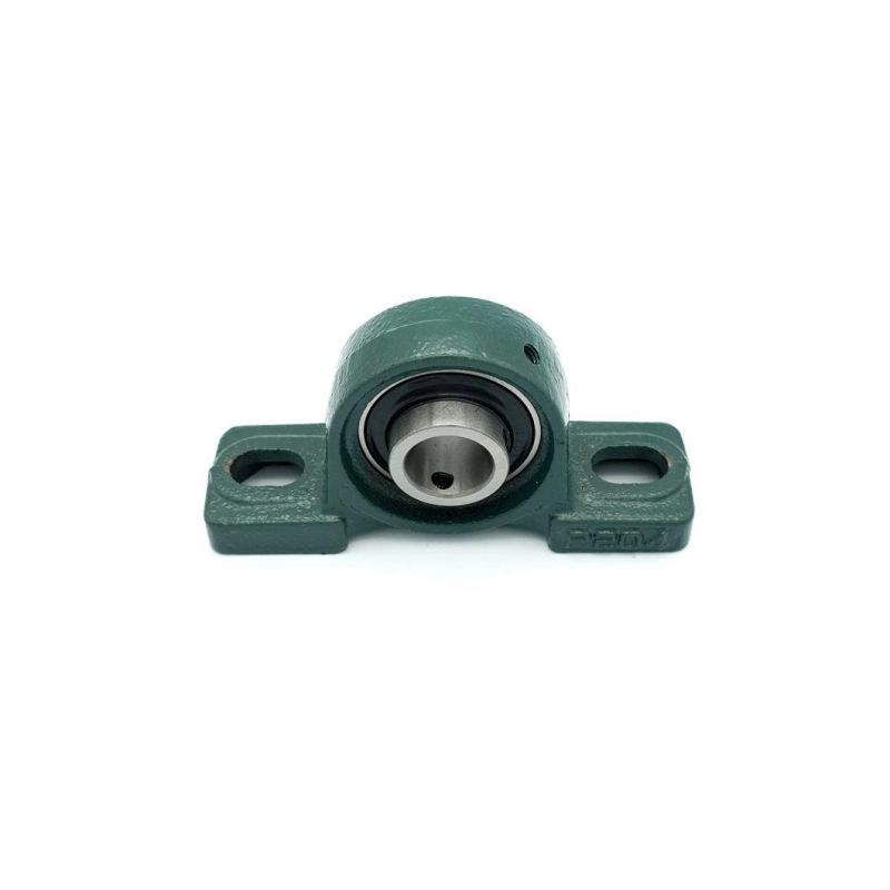 Chrome Steel and Cast Iron Housing Bearing