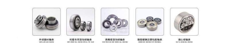 Professional Supply Thrust Ball Bearing 51205 51206 51207