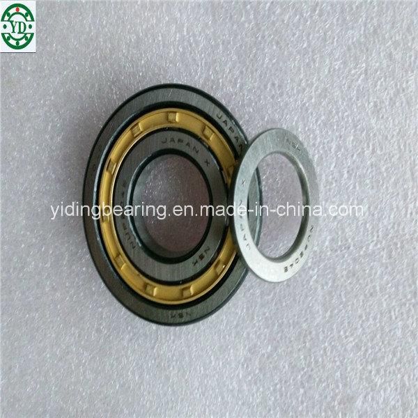 Short Cylindrical Roller Bearing 513067
