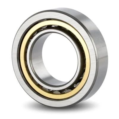 Low Friction Cylindrical Roller Bearings N1080K for Hot Sale