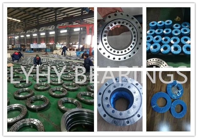 Slewing Ring Bearing with Internal Gear 872DBS118y Ball Bearing for Crawler Crane