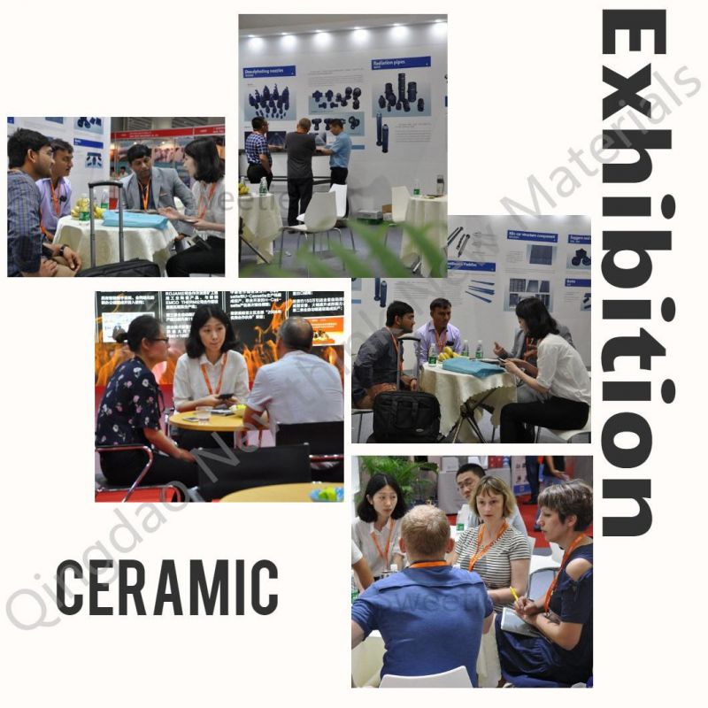 Free Sample Wholesale Price Ceramic Ssic Ring Silicon Carbide Seal for Mechanical Seal Industry