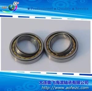 Cylindrical Roller Bearing NU1005M with OEM Service