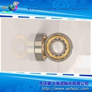 Cylindrical Roller Bearings NU313M Roller Bearings with High Speed