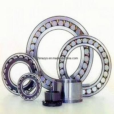 Zys Good Performance Cylindrical Roller Bearing with Inner Ring