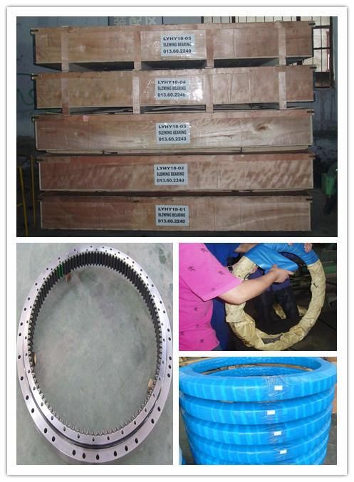 Slewing Bearing 191.25.1800.990 Slewing Ring Bearing for Portal Crane (191.20.2000.990)