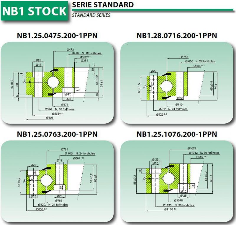 Slewing Bearings Without Gear for Crane Nb1.25.0763.200-1ppn
