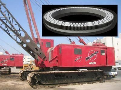 Crawler Crane Swing Bearing Slewing Bearing 060.20.1094.500.01.1503