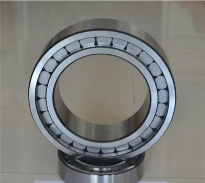 06NU0721 07NU1026 Full Complement Cylindrical Roller Bearing Auto Bearing