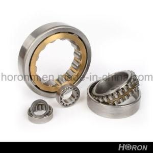 Cylindrical Roller Bearing (NU 1011 ECP)