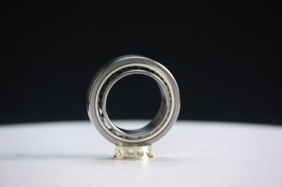 China Manufacturer of Rolling Bearing Double Row Cylindrical Roller Bearings Nn3030