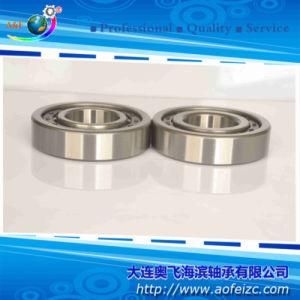 Cylindrical Roller Bearing NJ330M