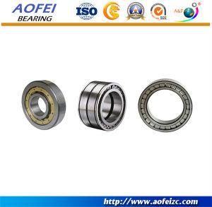 Cylindrical Roller Bearing NU, NJ Series