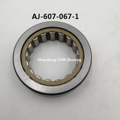 Aj-607-067-1 Auto Bearing Car Bearing Cylindrical Roller Bearing Aj607