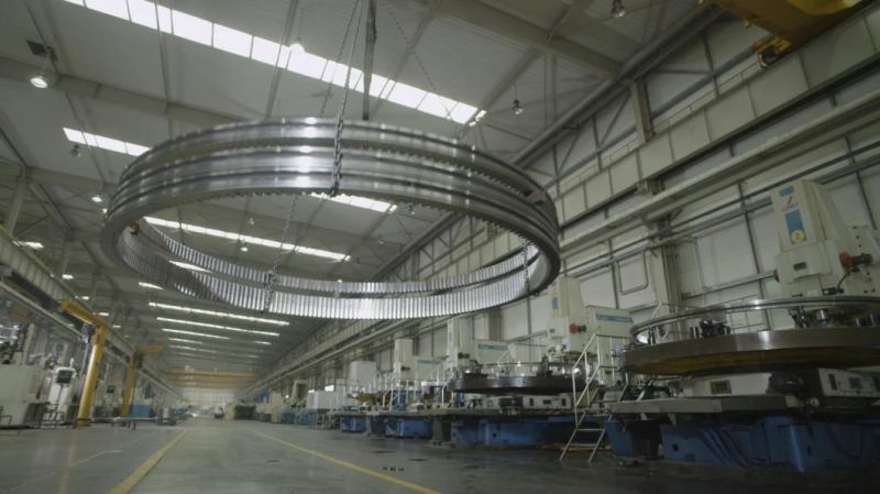 Zys Manufacturer of High Quality Slewing Bearing Slewing Gear 012.30.500