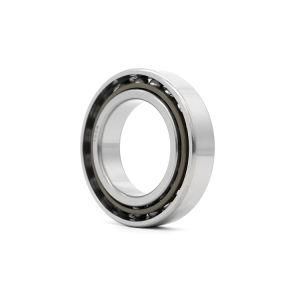 High Precision Ball Bearing 7910 for Electrical Servo Motor