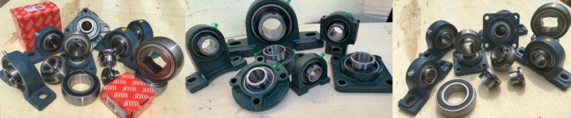 Chrome Steel UCP Series Pillpw Block Bearing/Insert Bearing/Bearing