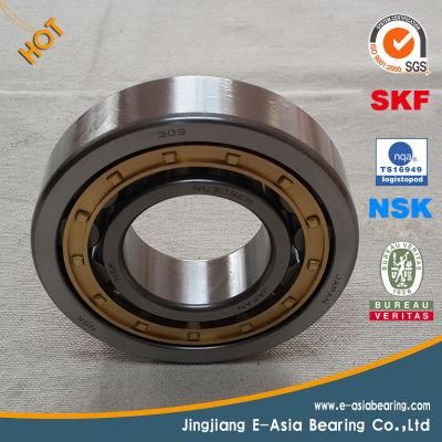 High Standard Own Factory Deep Groove Ball Bearings/Motor Bearing (6203 ZZ/6203 2RS)