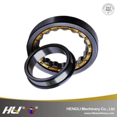N NU NJ...N213EM Cylindrical Roller Bearings For Pumps Electric Motors Railways