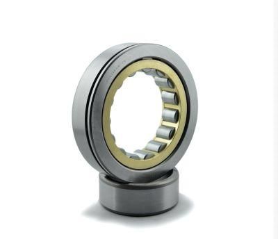 NSK Original Cylindrical Roller Bearing Nu303 Nu305 Nu307 Nu309 Nu311