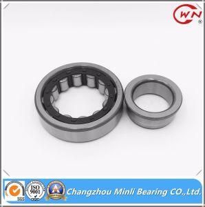 China Manafacturer Cylindrical Roller Bearing and Cage Assembly
