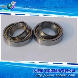 A&F Manufacturer Cylindrical Roller Bearing (NU1009M)