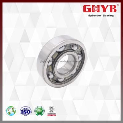 Low Noise Thin 6206 6207RS 2RS Open Deep Groove Ball Bearing with Seal
