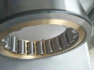 High Quality Nu236 Ecml Cylindrical Roller Bearing for Rolling Machine