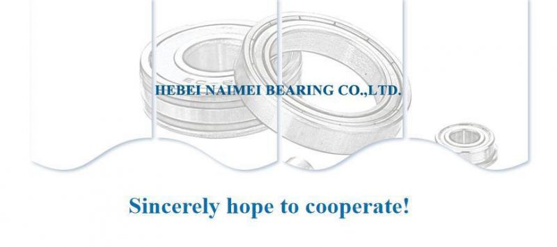 Motorcycle Parts Deep Groove Ball Bearings 6202 Bearing 6204 2RS Bearing 6205 Bearing P0/P6/ABEC-1 ABEC-3 Bearing