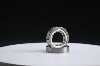 Zys Double Row Cylindrical Roller Bearing Nn Series Machine Tool Bearing Nn3005 25X47X16mm