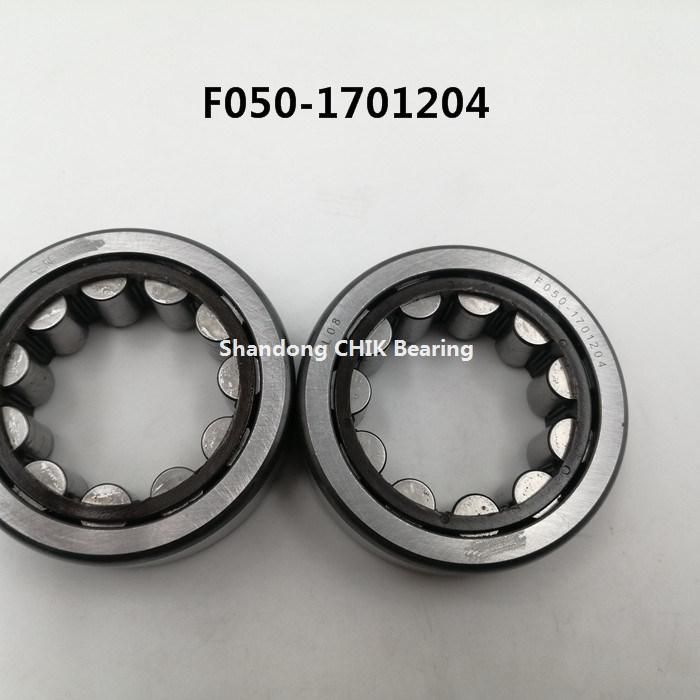 NSK F050-1701204 Auto Bearing Cylindrical Roller Bearing