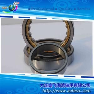 Made in China Large Stock Cylindrical Roller Bearing NU1020M