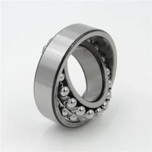 Self-Aligning Ball Bearing 2303e-2RS1tn9 2303 1204ektn9 1204etn9 2204e-2RS1tn9 2204etn9 1304etn9 2304e-2RS1tn9 2304m 2304tn9 1205ektn9 1205em