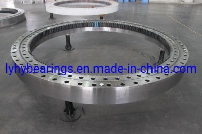 Slewing Gear Slewing Ring Bearing with Internal Gear Bearing (013.40.1120)