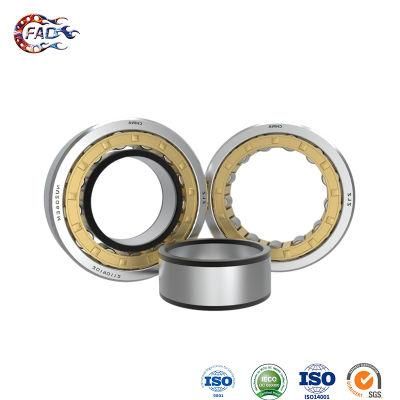 Xinhuo Bearing China 6204RS Bearing OEM Lm20uu Linear Bearing Nj224e Nu Type Cylindrical Roller Bearing