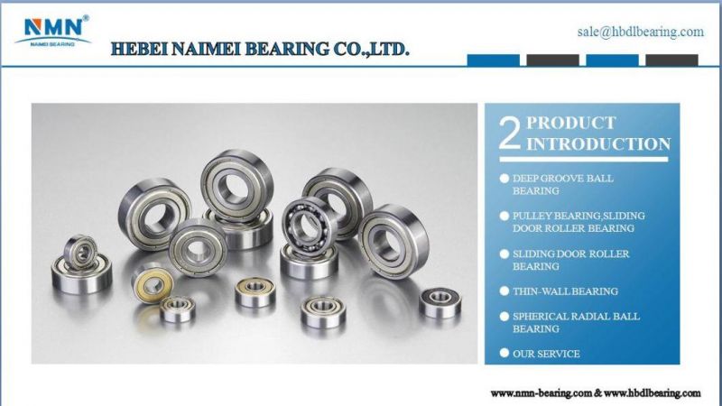 Chrome Steel Bearing Deep Groove Ball Bearing 6011 6012 6013 6014 6015 6016 6017 6018 Zz 2RS Cm C3 Factory Price Direct Sale High Speed Bearing
