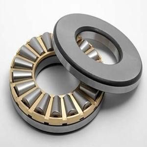 Tapered Roller Thrust Bearings T1260 T1260W T128 T127 T127W T1380 T1381 T136 T138 T138W T138xs T144 T144W T144xa T152 T151 T151W T157 T157W