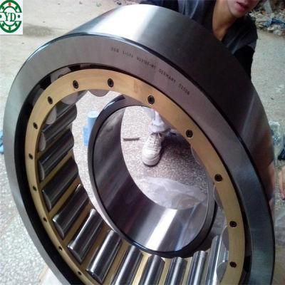 Cylindrical Roller Bearing NSK Nnu4960bk/Spw33