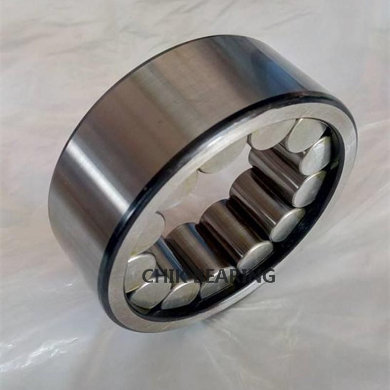 Germany Hydraulic Pump Bearing F-202808 Printing Machine Bearing
