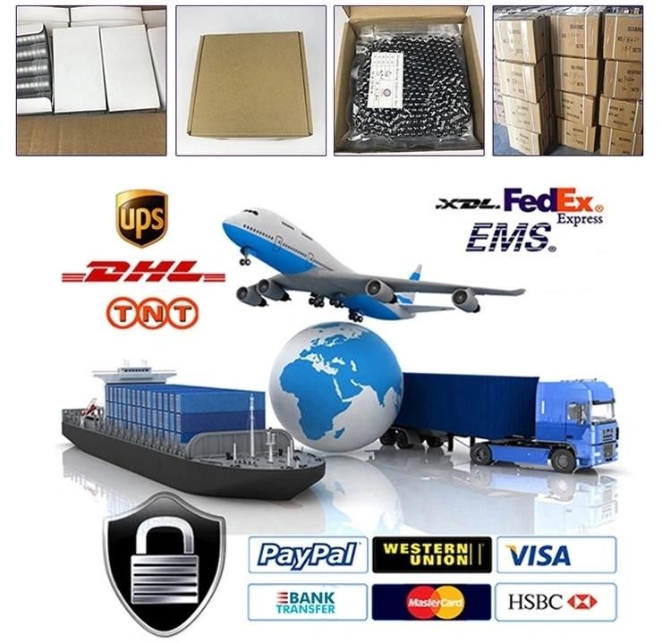 Good Quantity and Precision Needle Roller Bearing/Needle Bearing /Roller Bearing Printing Machinery Bearing