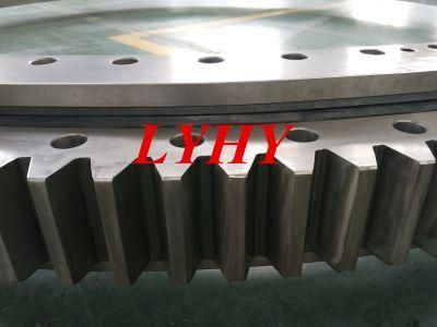 Slewing Bearings Turntable Bearings with External Teeth Slbo2870